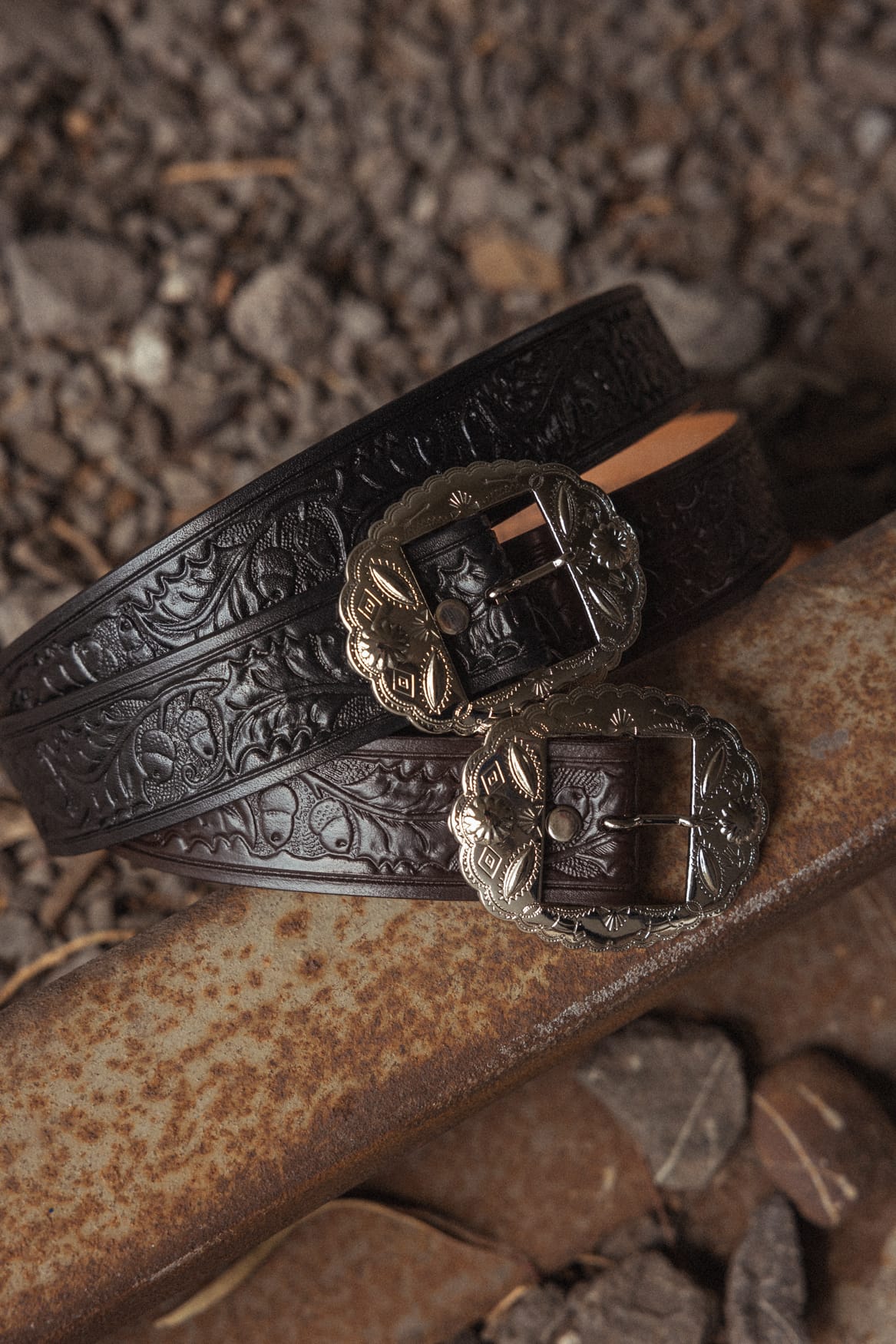 SHELLFISH WESTERN BELT
